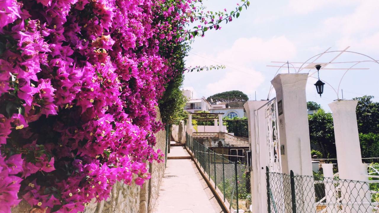Gasthof Don Raffaé Capri